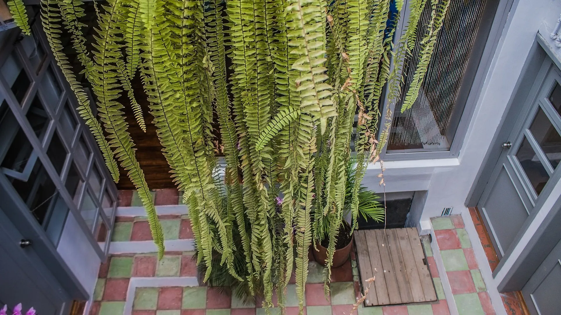 Hostal Posada del Maple Quito