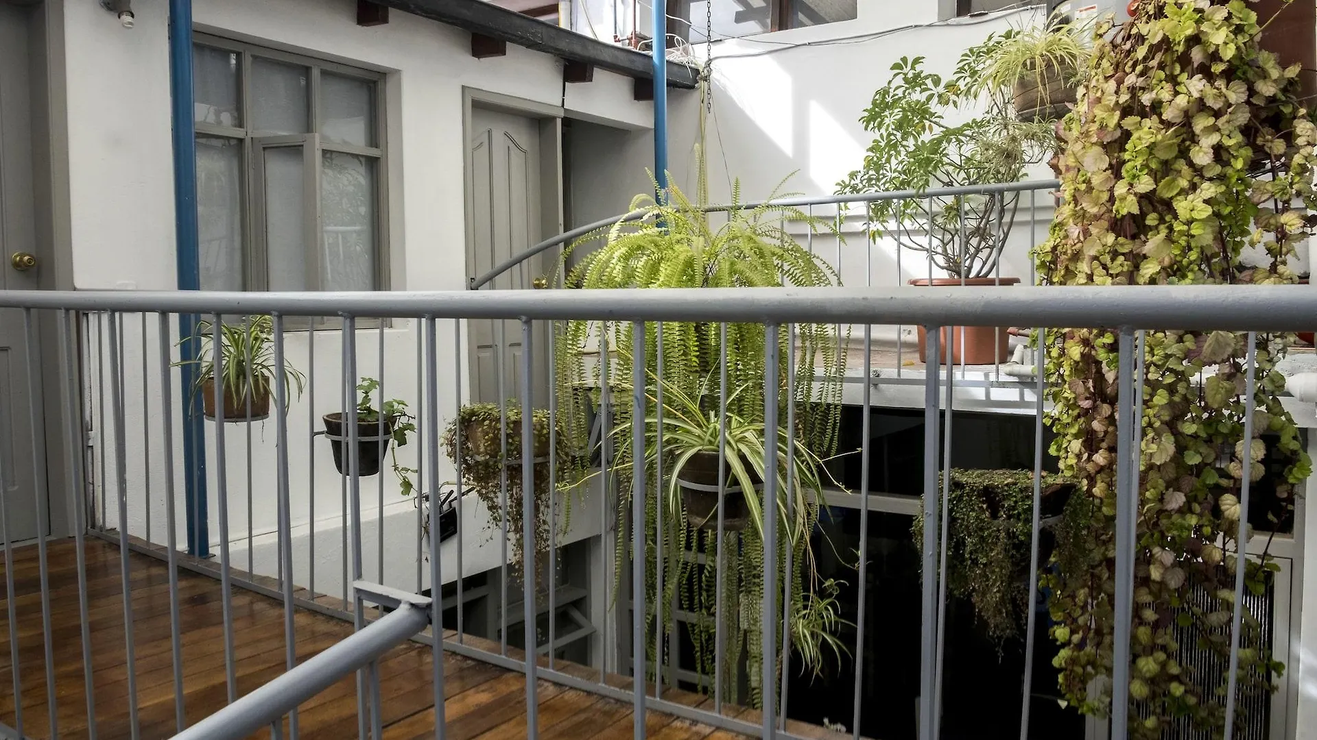 Hostal Posada Del Maple Quito Hostel