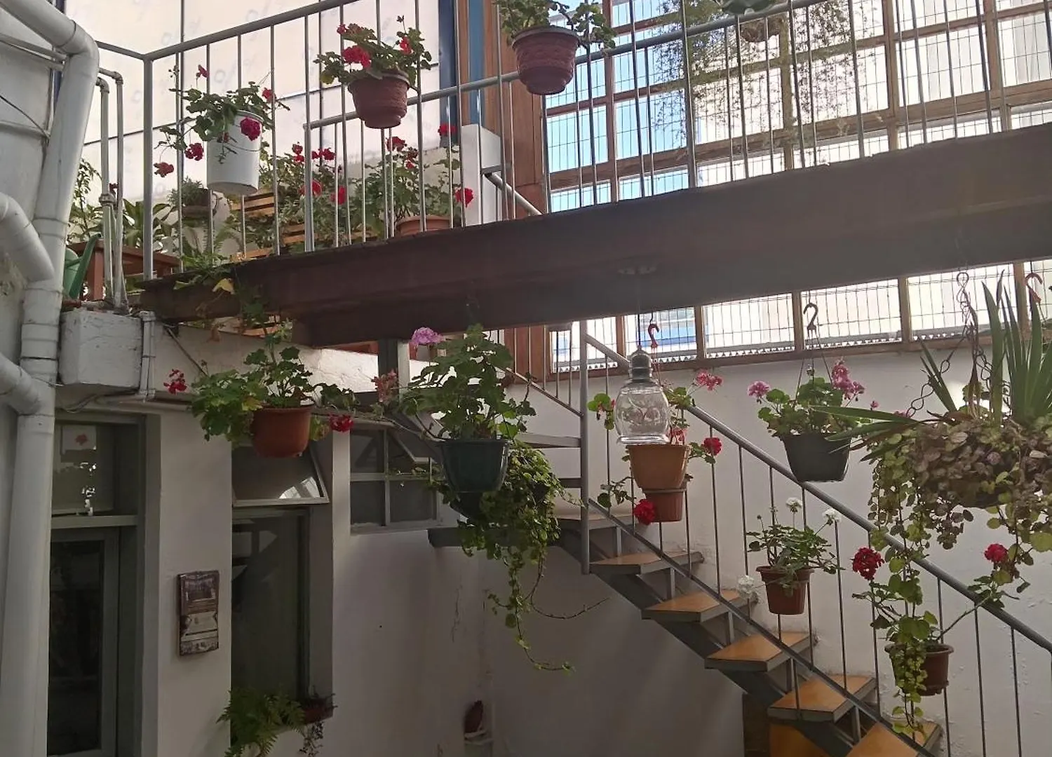 Hostal Posada Del Maple Quito Hostel