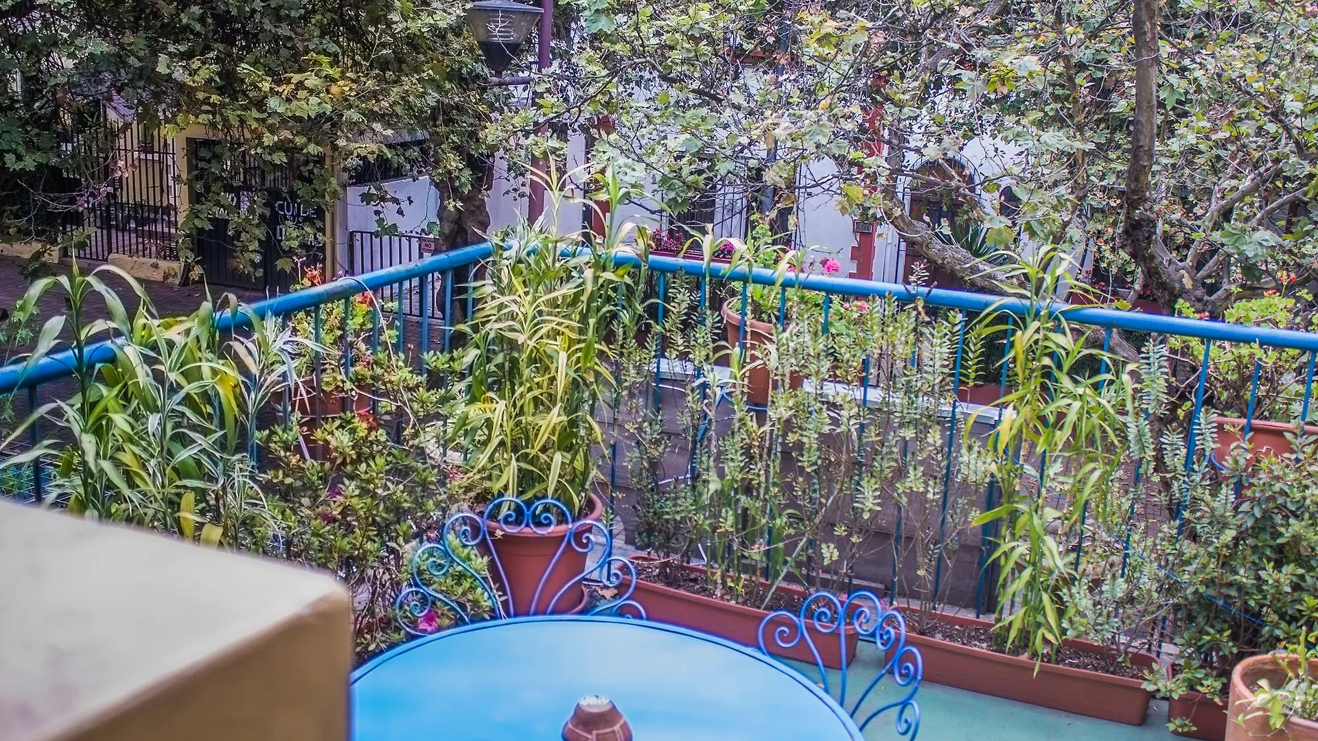 Hostal Posada Del Maple Quito