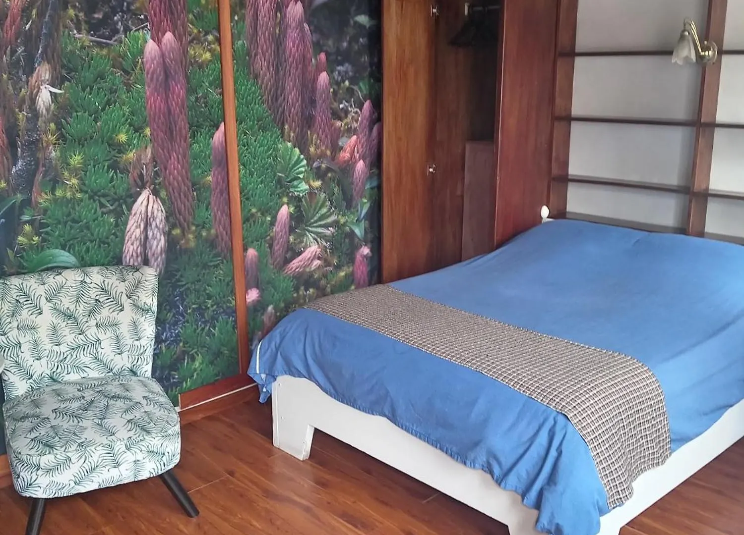 Hostal Posada Del Maple Quito Hostel